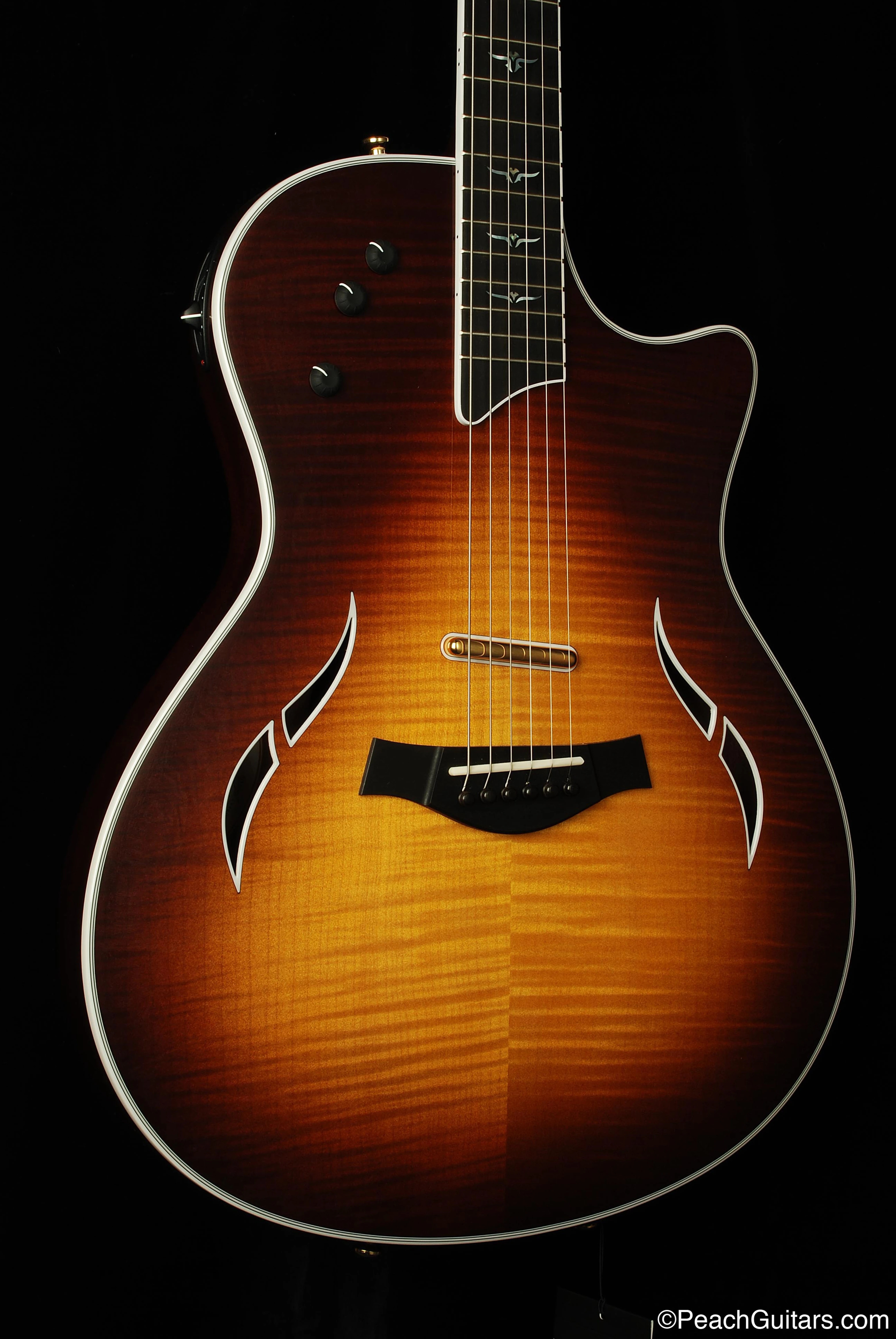 Taylor T5 Custom 