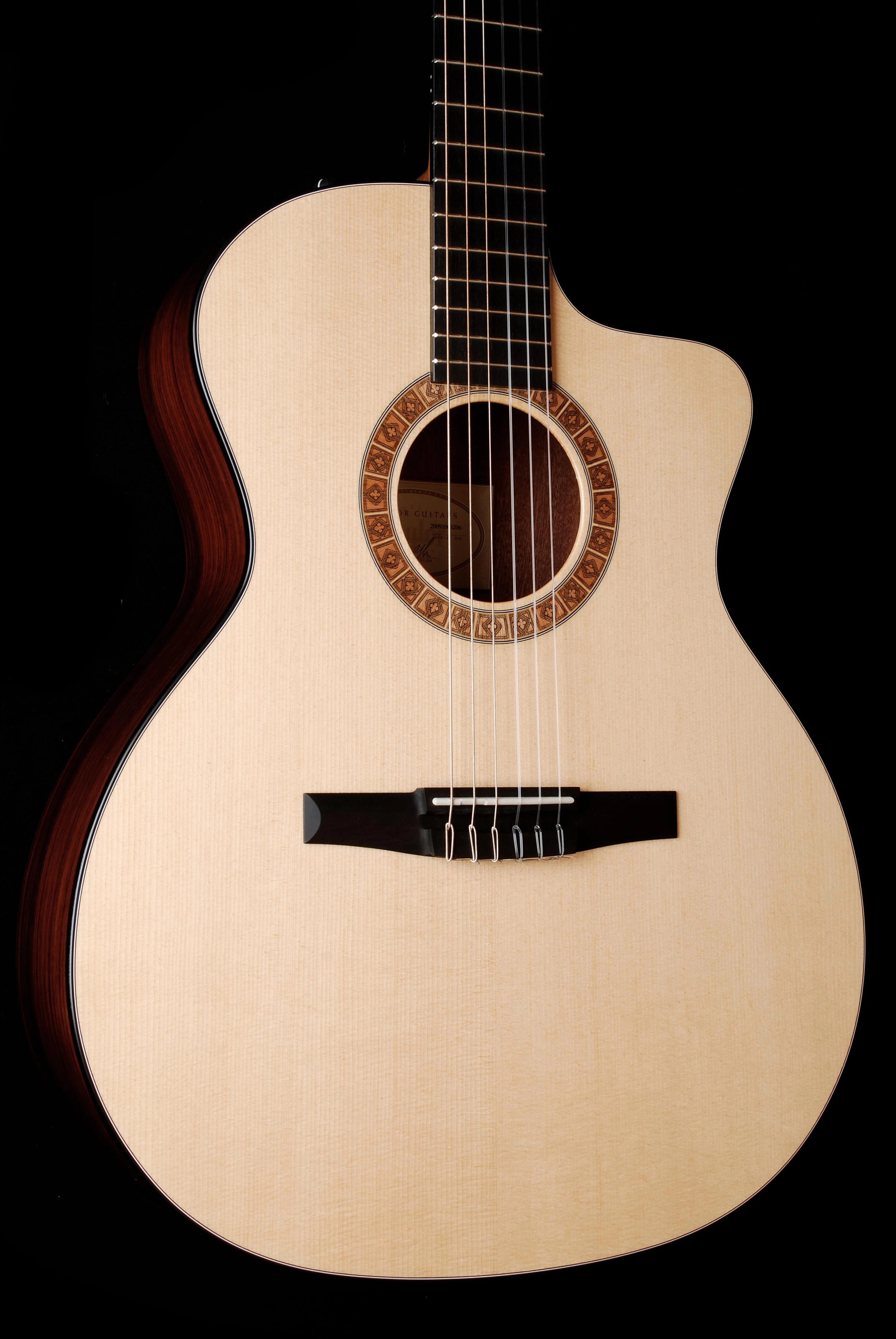 Taylor NS24CE