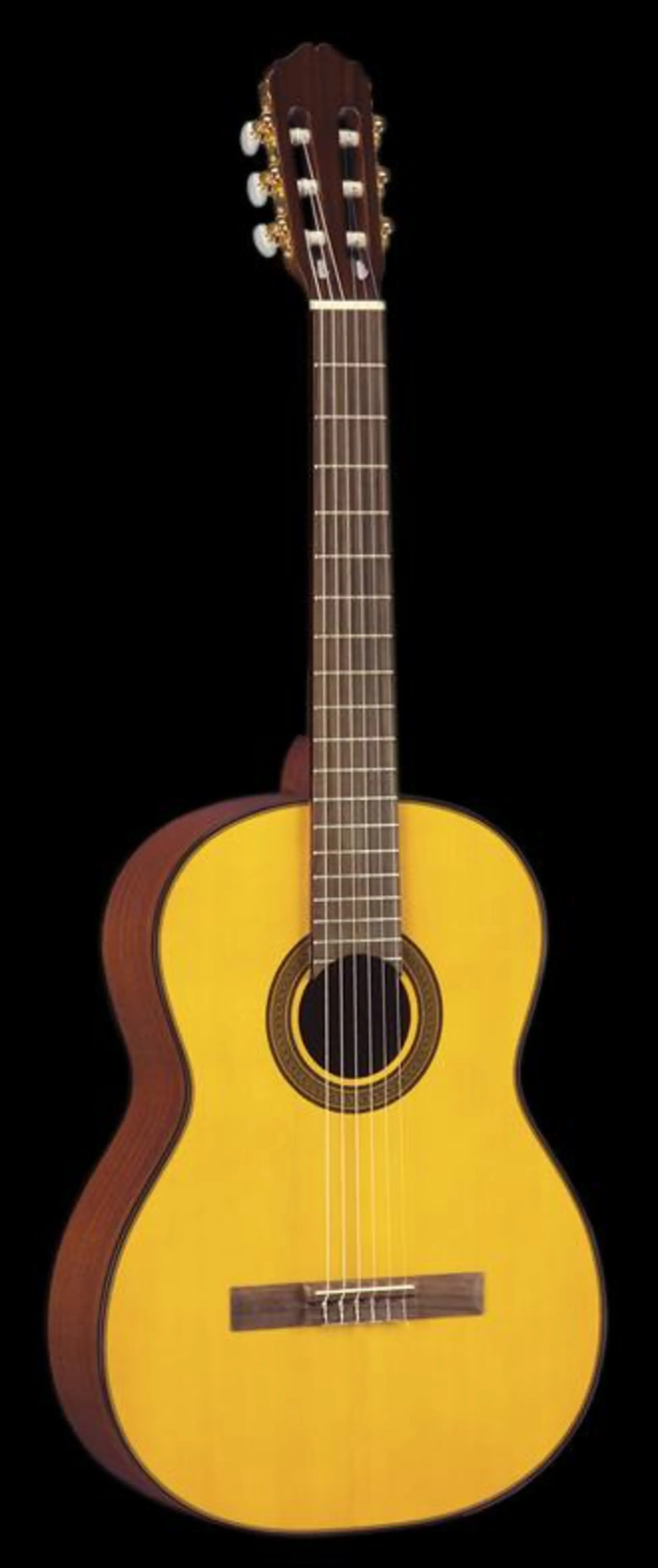 Takamine G124