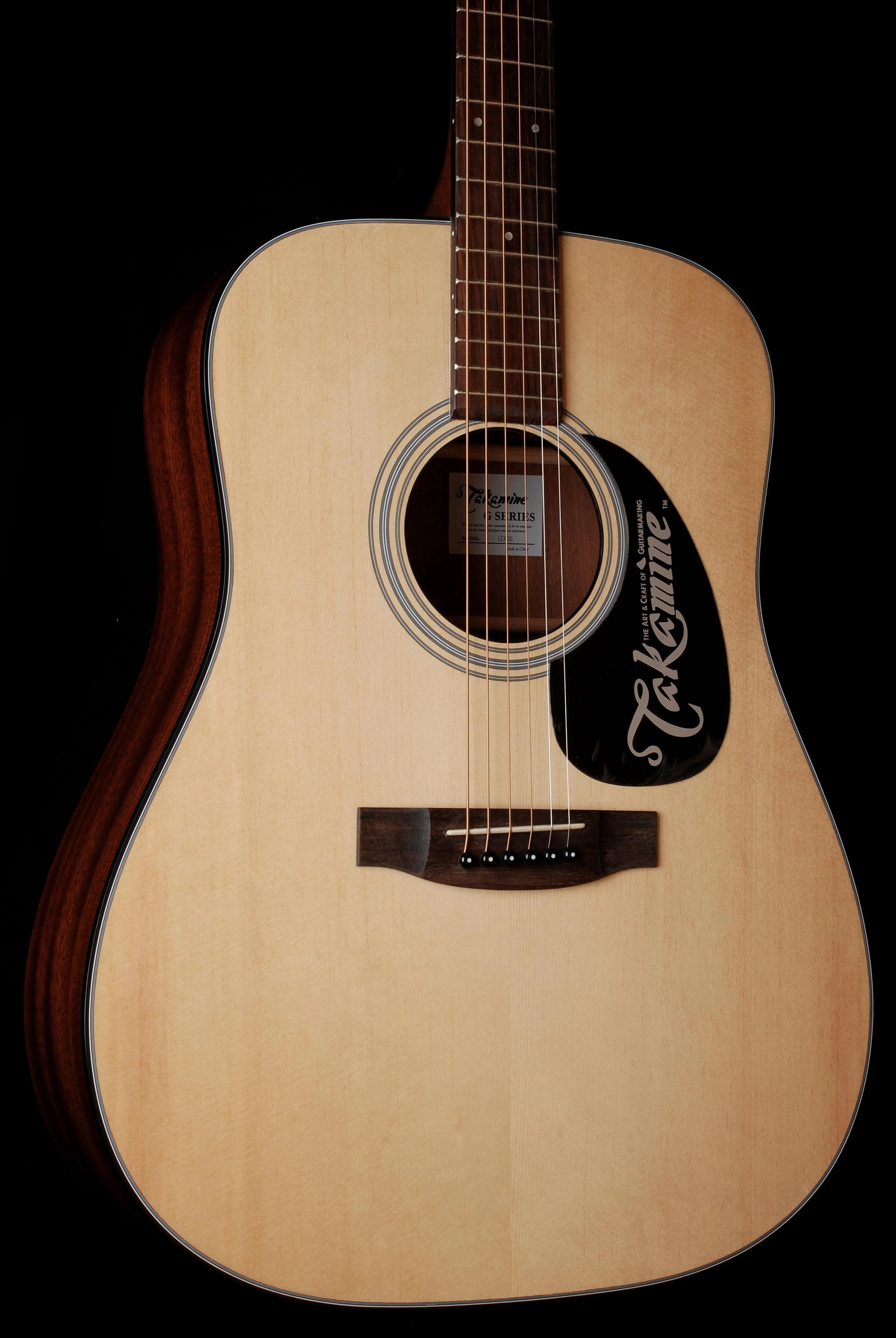 Takamine G320-NS