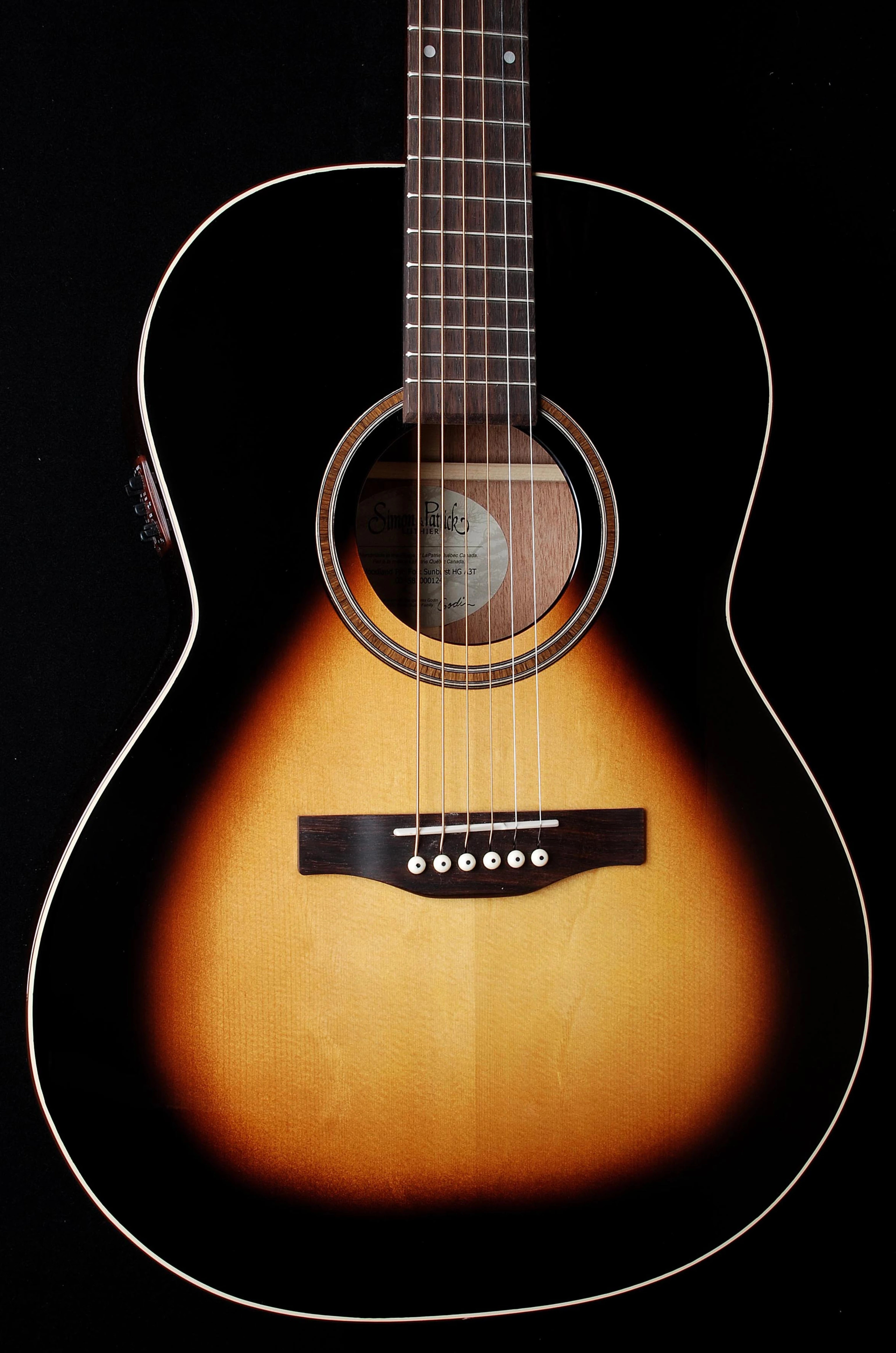 Simon and Patrick Woodland Pro Folk HG A3T with bag