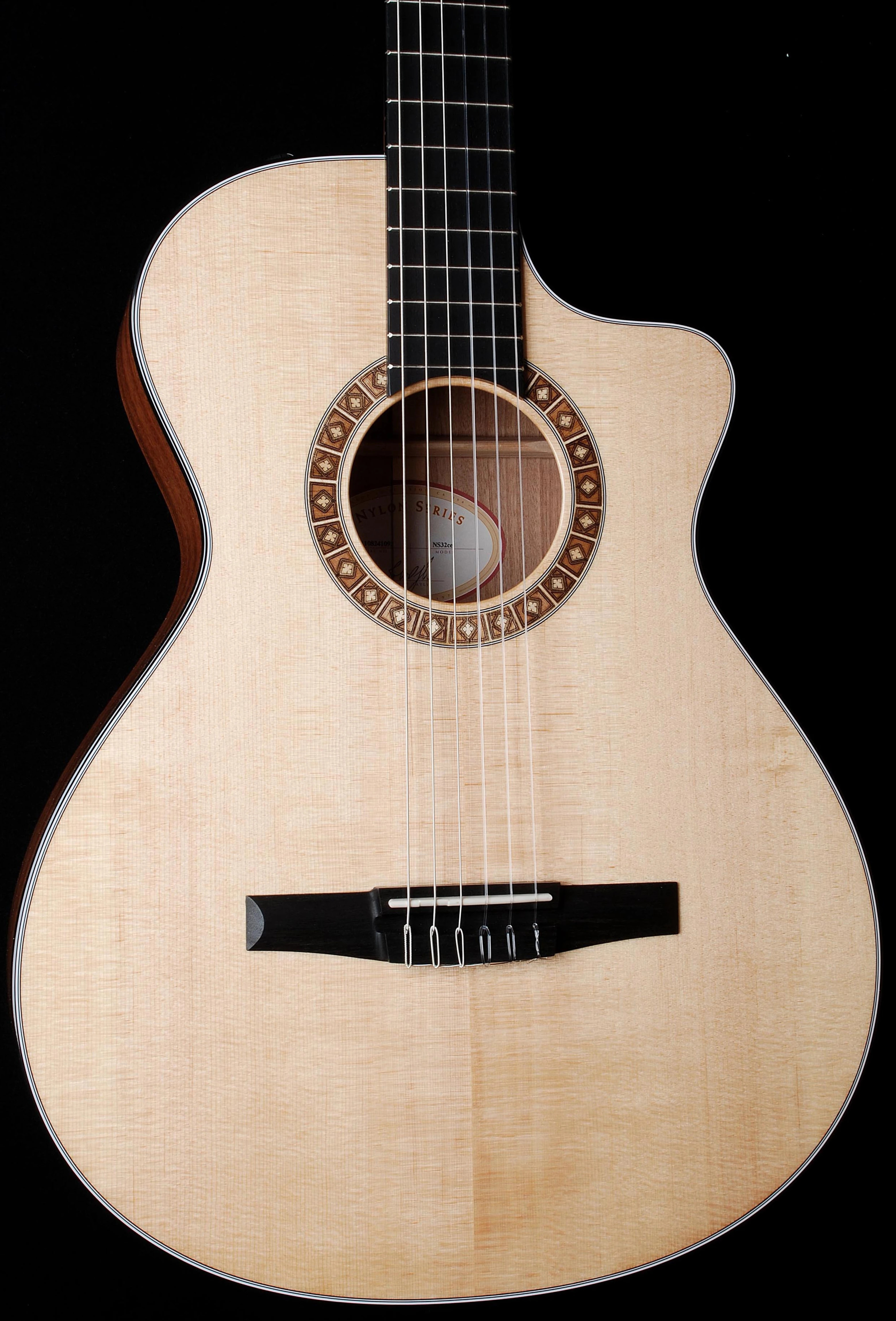Taylor NS32CE