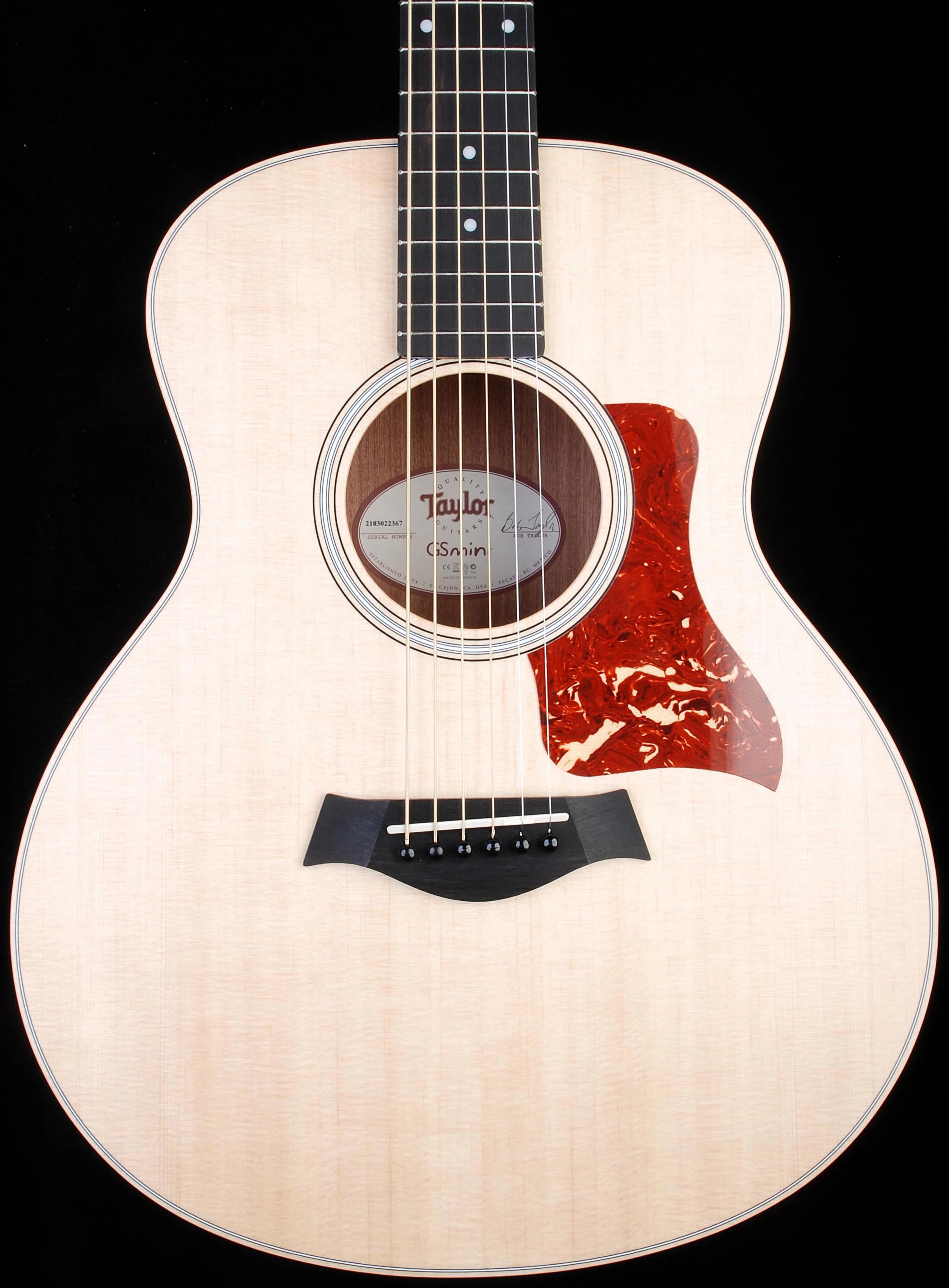 Taylor GS Mini Blackwood 2012 Spring Limited Edition