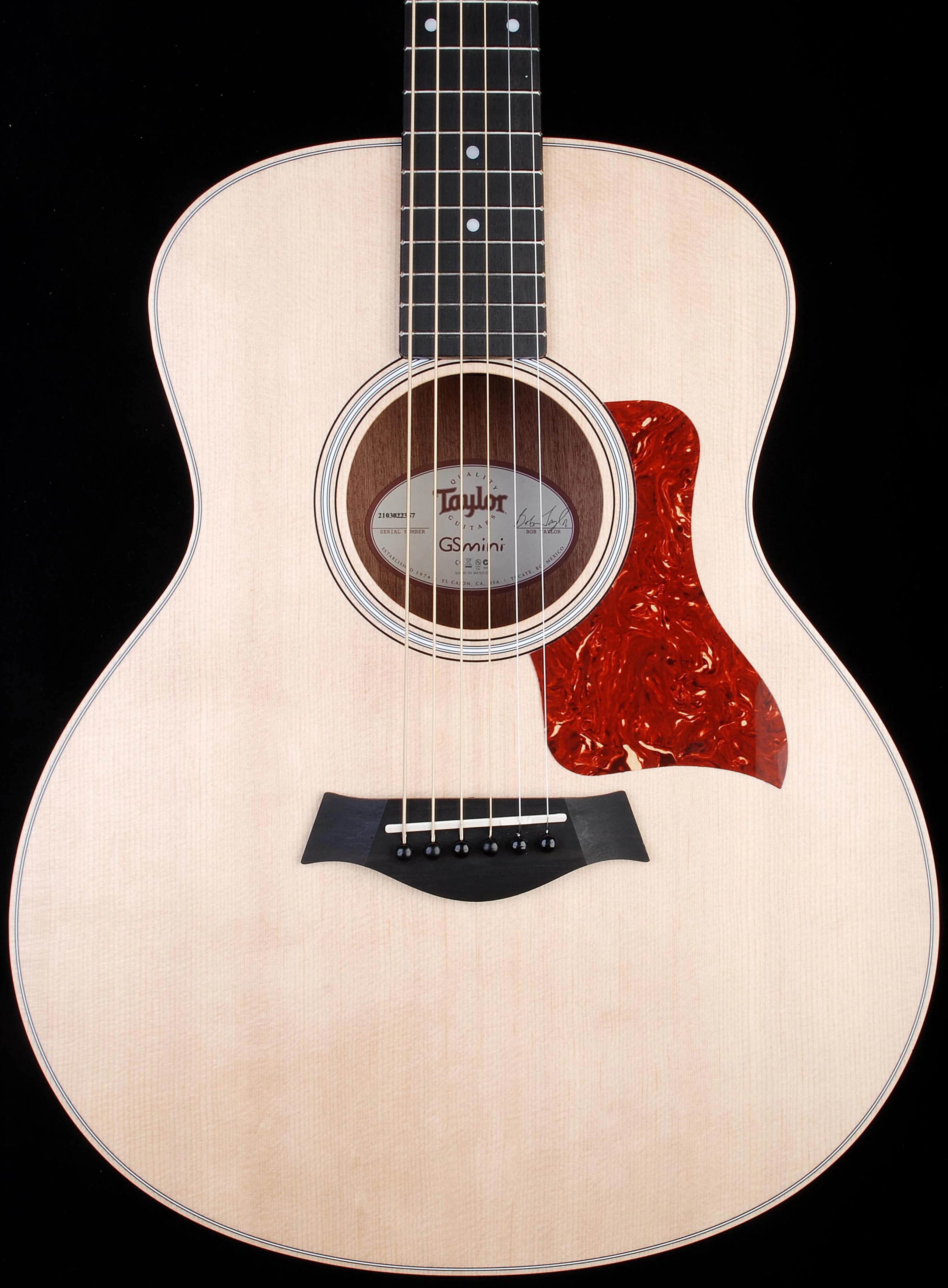 Taylor GS Mini Rosewood 2012 Spring Limited Edition