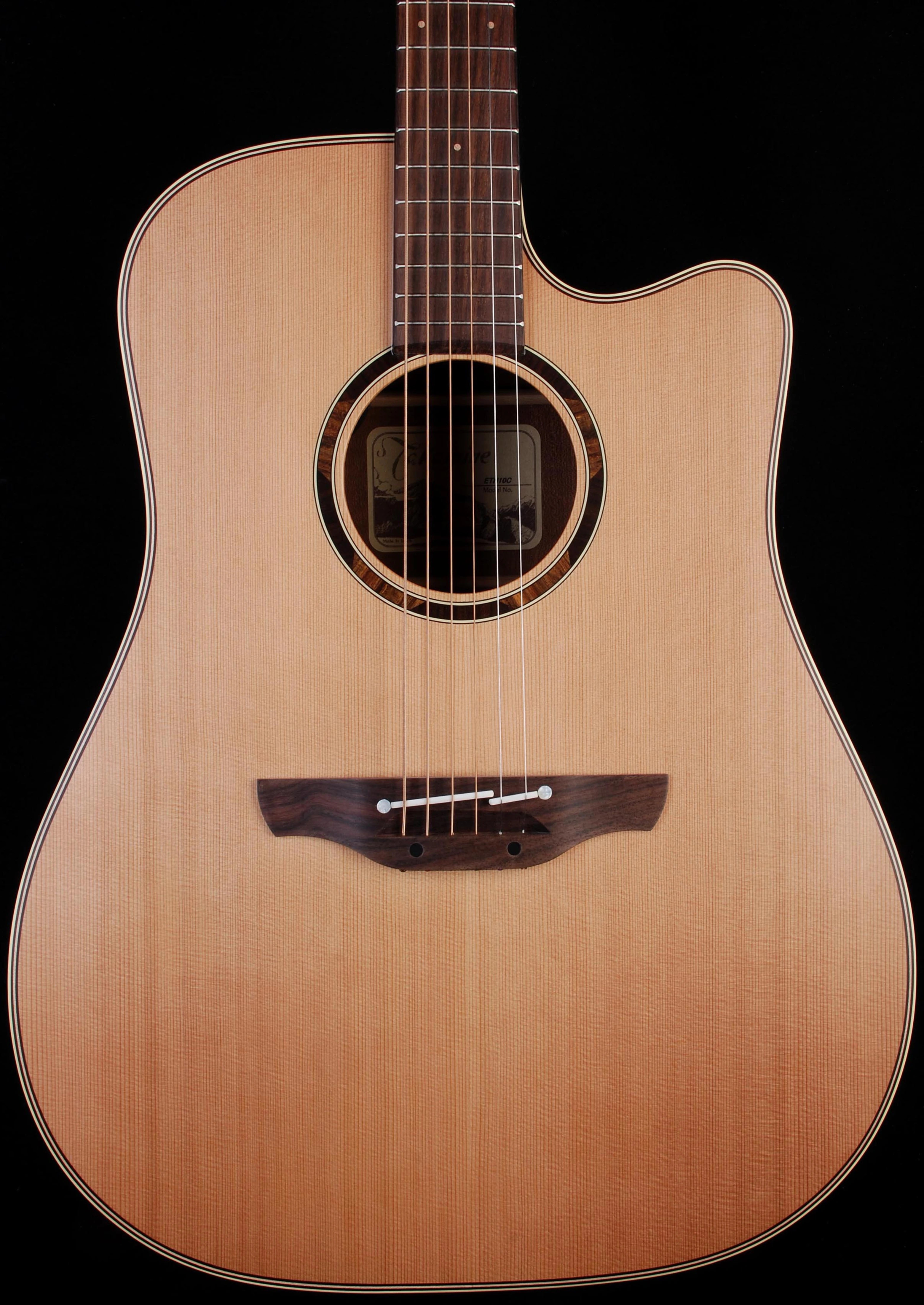 Takamine ETN10C