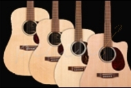 Acoustic Guitars