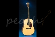 CF Martin DX1R