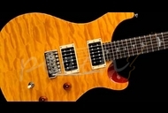 PRS SE