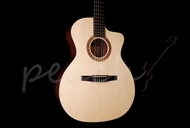 Taylor NS24CE