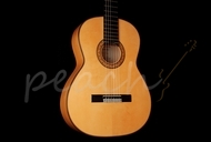 Model 105