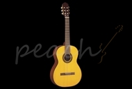 Takamine G124