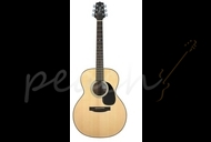 Takamine G220