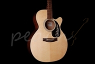Takamine EG220C