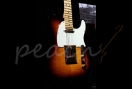 Fender Flame Top Telecaster 'Tele-bration'