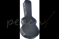 Stagg GCA-SA Electro Acoustic/Auditorium size hard case