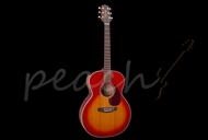 Takamine EG430S-VV