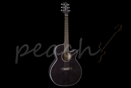 Takamine EG440CSTCY