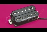 Seymour Duncan