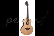 Takamine Mini Acoustic