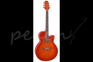 Takamine EG404CLTD