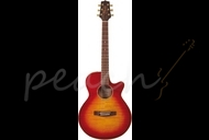Takamine EG268C-CS