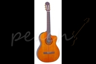Takamine EG124C Electro Classical 