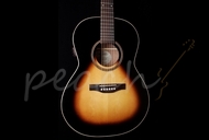 Simon and Patrick Woodland Pro Folk HG A3T with bag