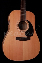 Simon and Patrick SP6 Cedar Electro