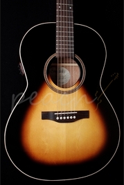 Simon and Patrick Woodland Pro Folk HG A3T with bag