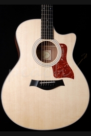 Taylor 316CE