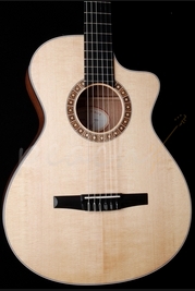 Taylor NS32CE