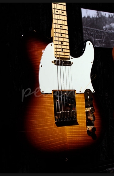 Fender Flame Top Telecaster 'Tele-bration'