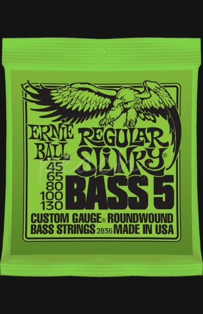 Ernie Ball 5 string Regular Slinky bass set 45-130