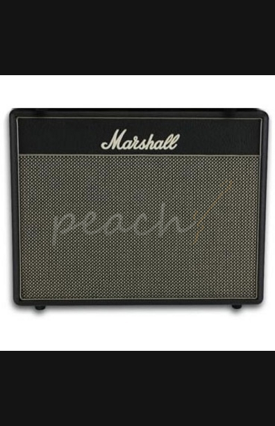 Marshall Class 5 1x10 Speaker Cab